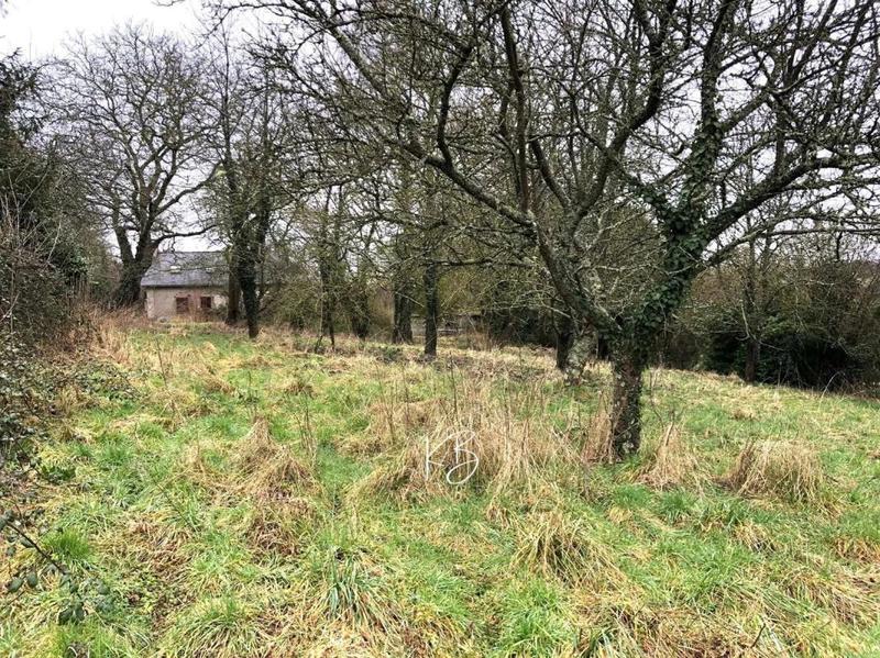 Maison en pierre - 82 m² - 4 pièces