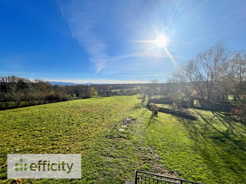 Maison en pierre - 380 m² - 8 pièces