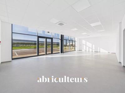 Bureau - 600 m²