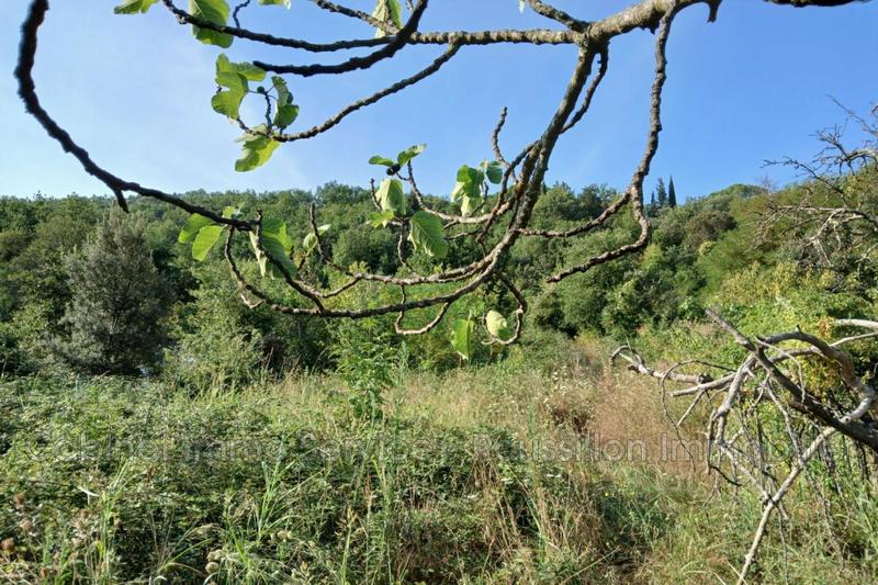 Terrain agricole - 1 968 m²