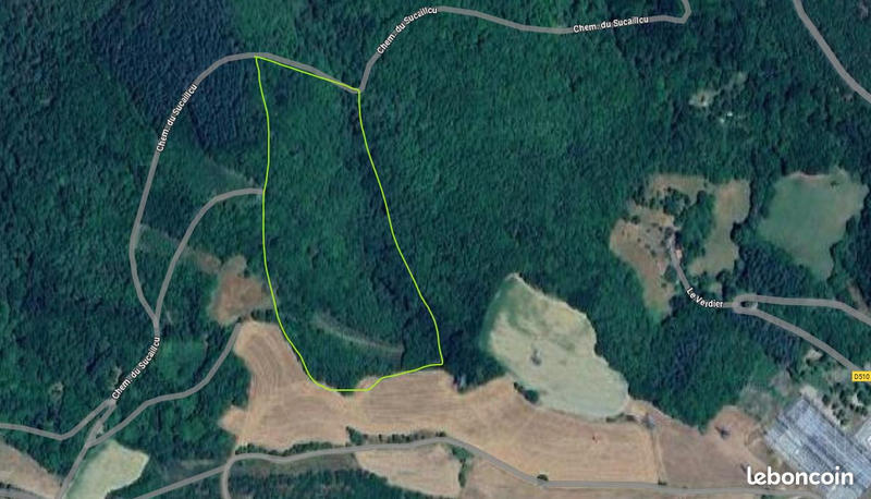 Forêt - 431 900 m²