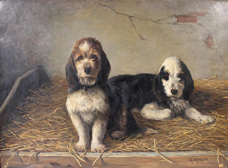 Animation : ARTnimaux Domestiques de travail