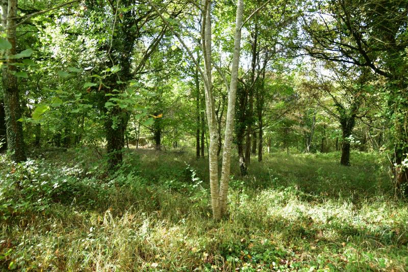 Demeure - 450 m² - 15 pièces