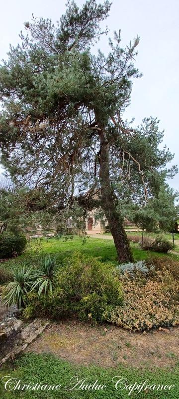 Maison - 183 m² - 8 pièces