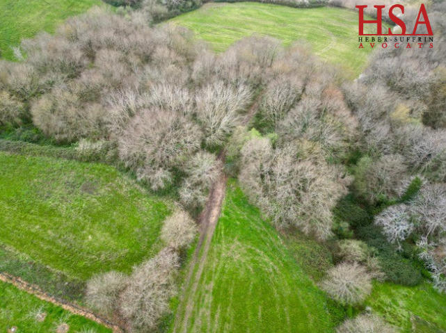 Terrain - 15 500 m²