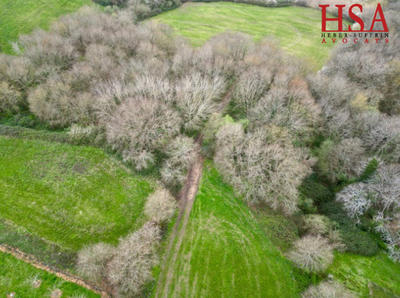 Terrain - 15 500 m²