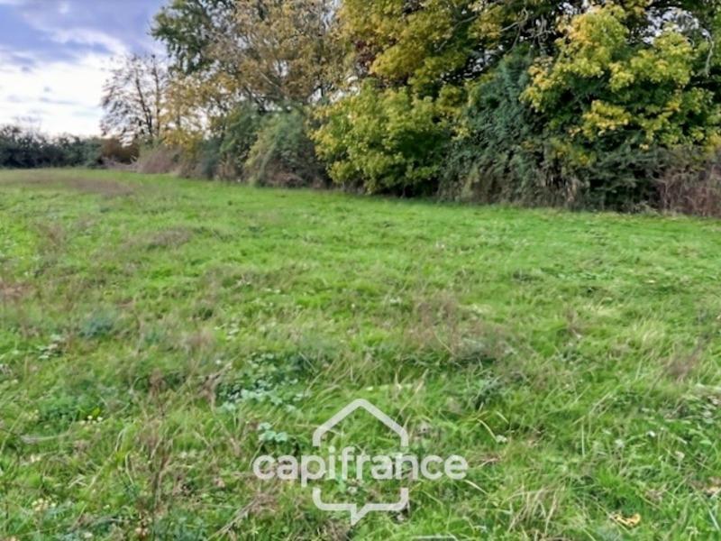 Terrain constructible - 4 300 m²
