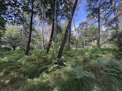 Terrain - 141 093 m²