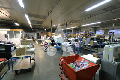 Local d'activité / Entrepôt - 571 m²