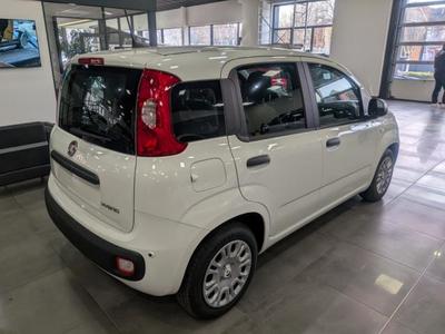 Fiat Panda 1.0 70 ch Hybrid Bsg s/S City