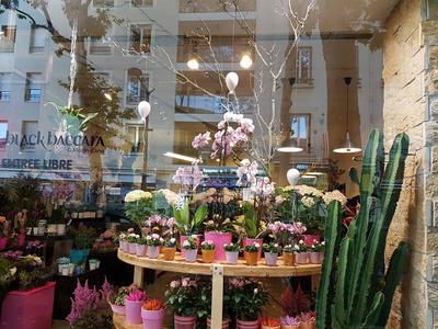 Black Baccara la Paillotte...