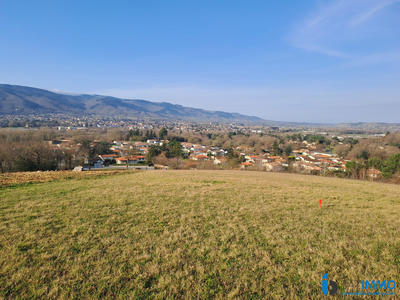 Terrain - 1 317 m²