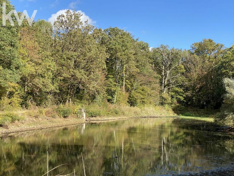 Propriété de chasse - 425 m² - 9 pièces