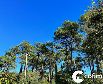 Maison contemporaine - 170 m² - 4 pièces