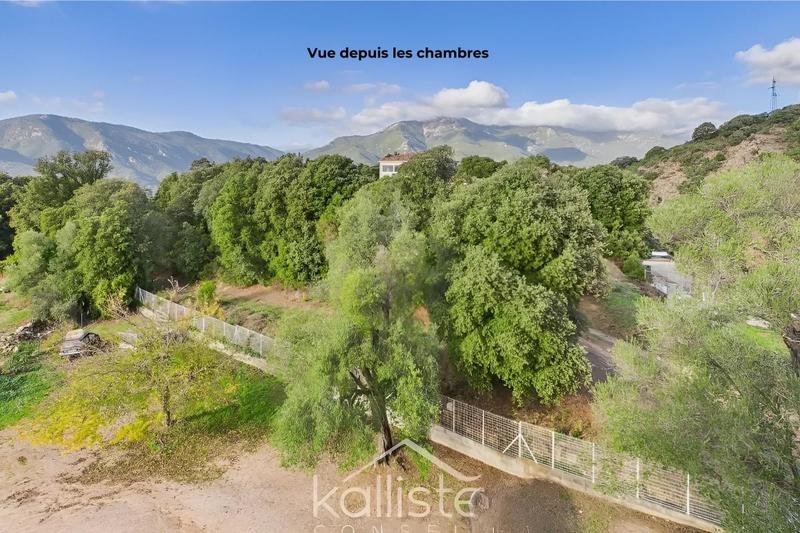 Appartement - 89 m² - 5 pièces