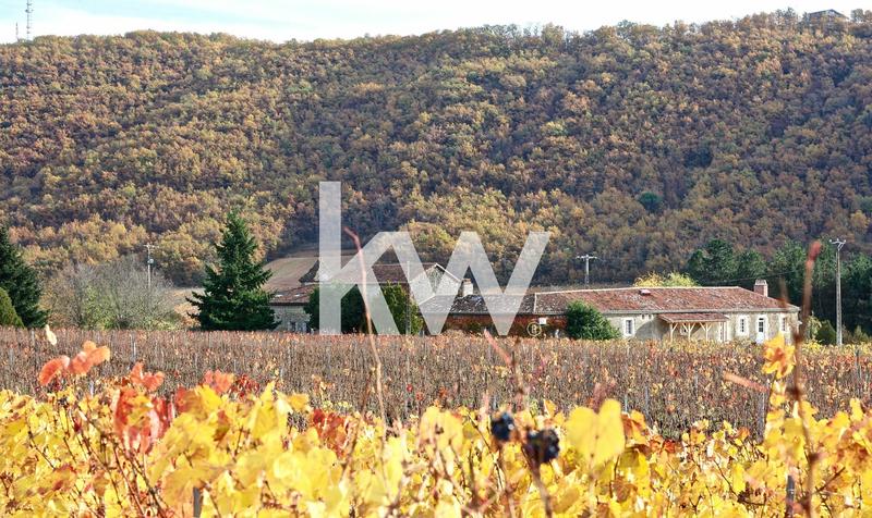 Propriété - 884 m² - 15 pièces