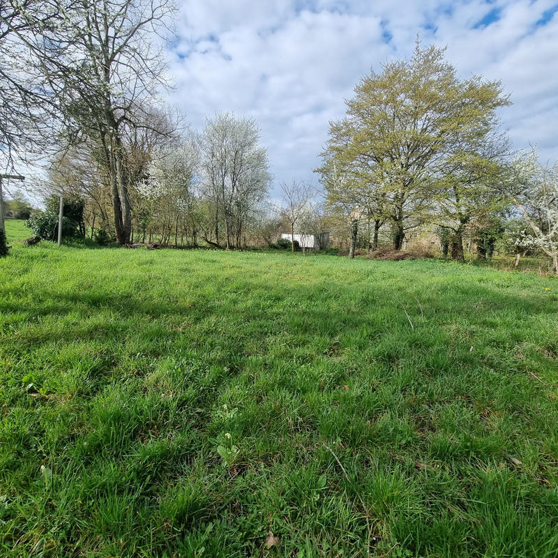 Maison - 100 m² - 3 pièces