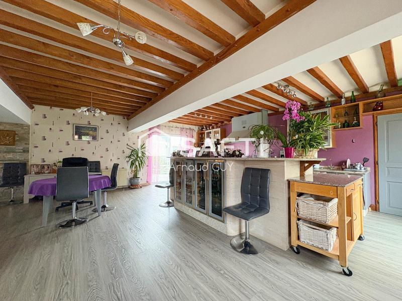 Maison - 230 m² - 8 pièces