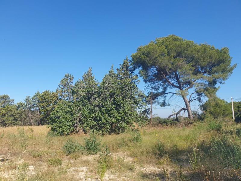 Terrain constructible - 400 m²