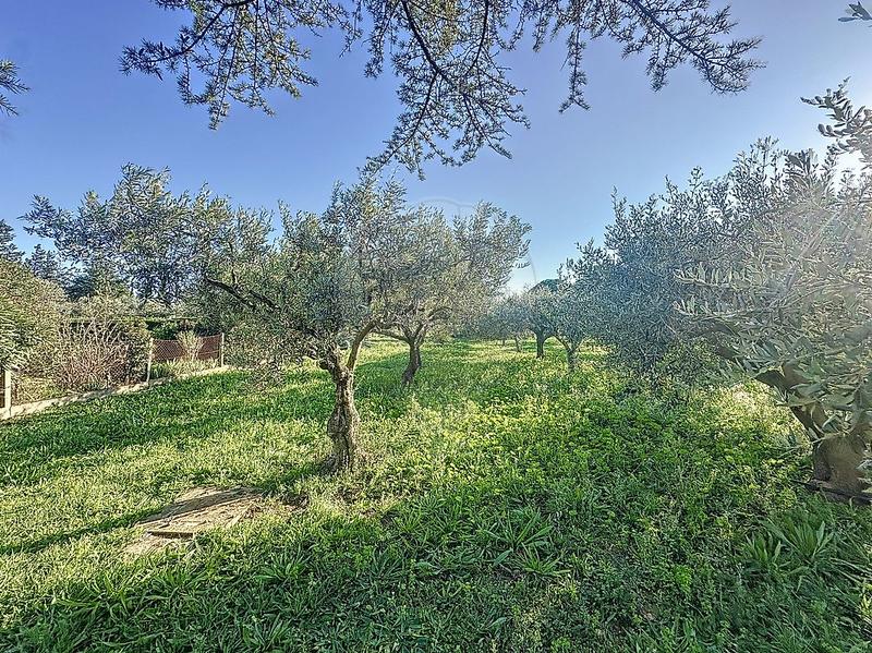 Mas - 300 m² - 12 pièces