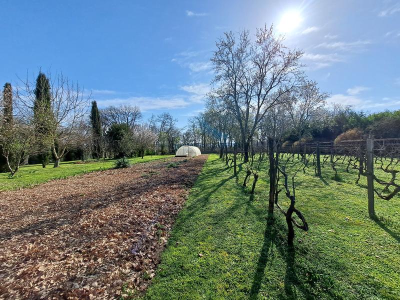 Maison - 390 m² - 10 pièces