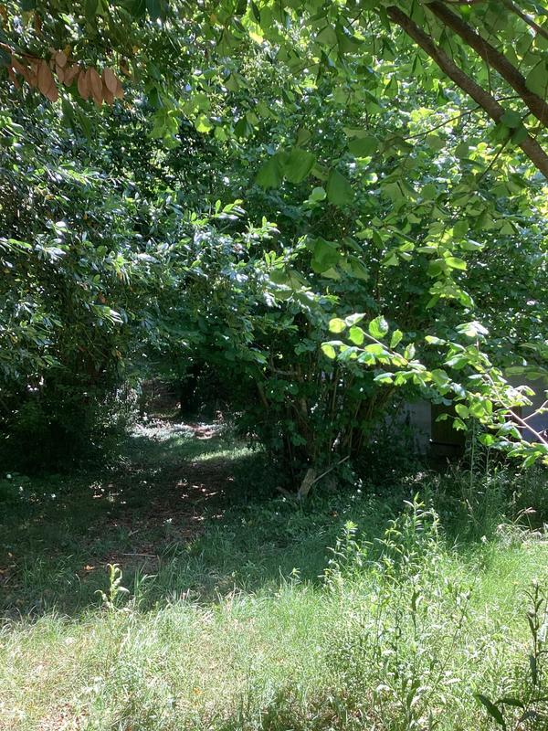 Maison - 115 m² - 6 pièces