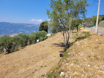 Terrain agricole - 1 100 m²