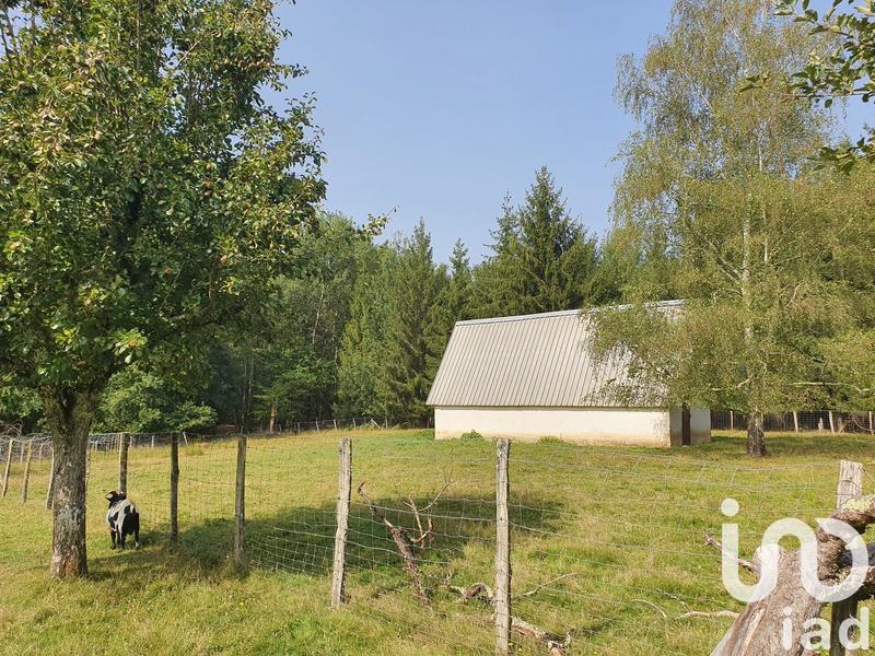 Ferme - 300 m² - 5 pièces