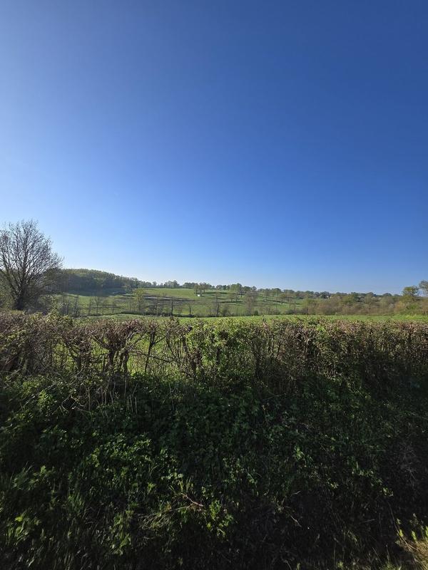 Maison - 90 m² - 3 pièces