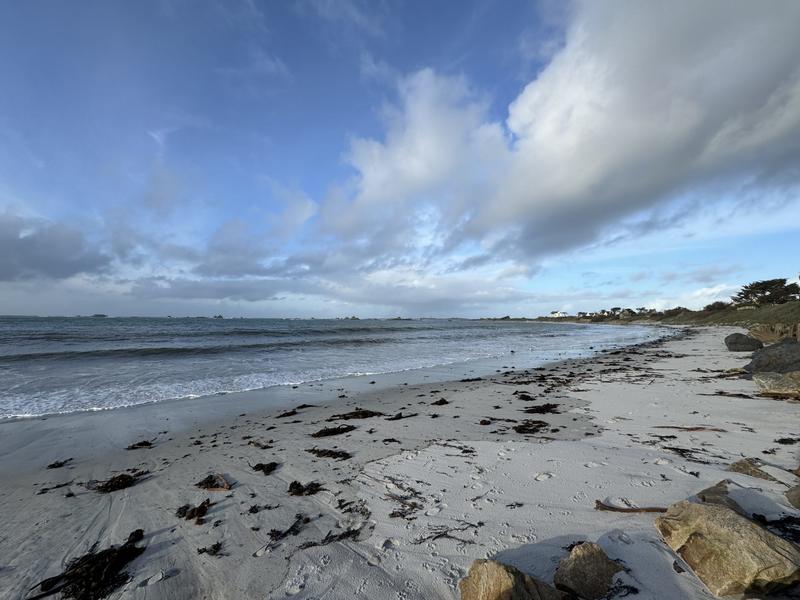 Local commercial - 204 m²