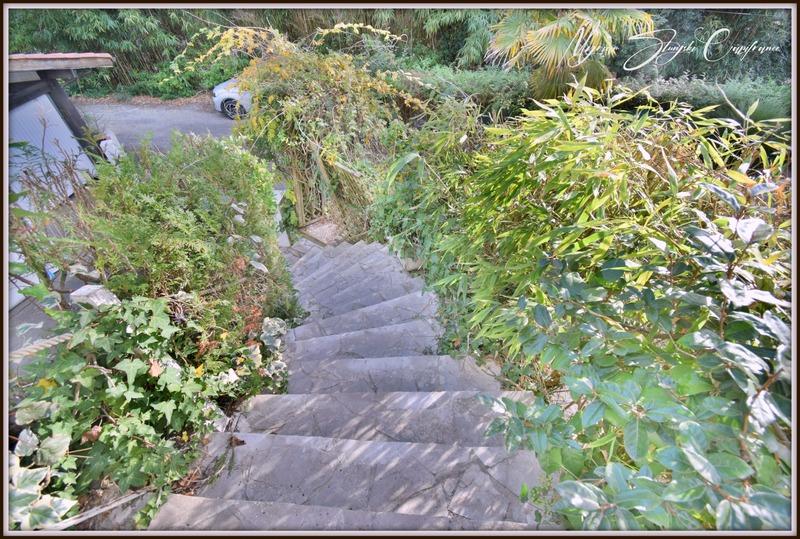 Maison - 218 m² - 8 pièces