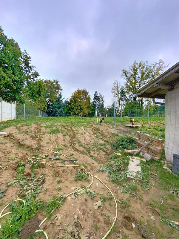 Maison - 220 m² - 9 pièces