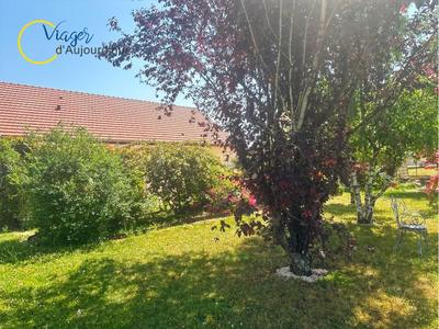 Viager - Maison - 121 m² - 5 pièces