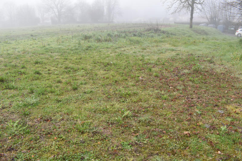 Terrain agricole - 7 179 m²