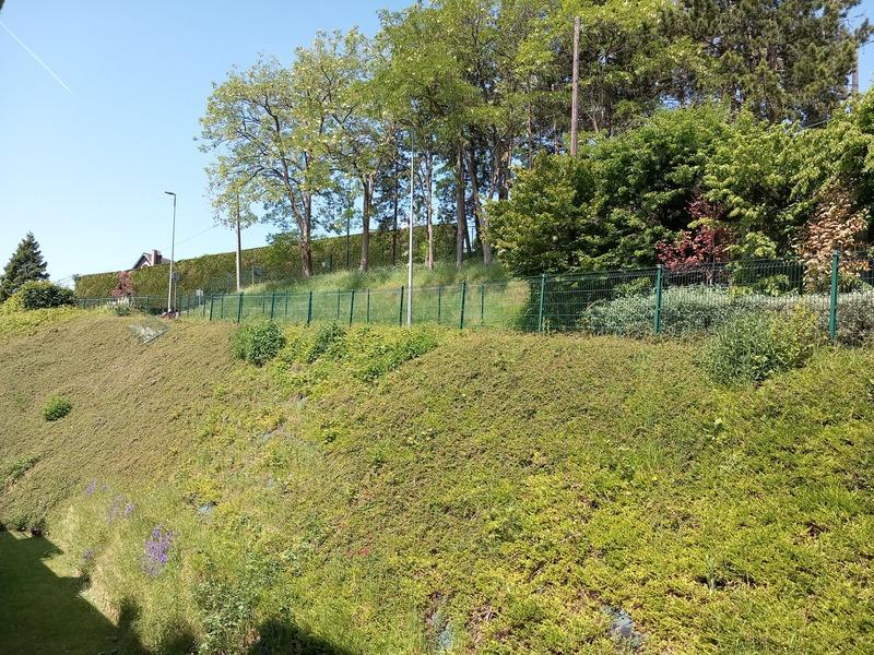 Studio - 24 m² - 1 pièce