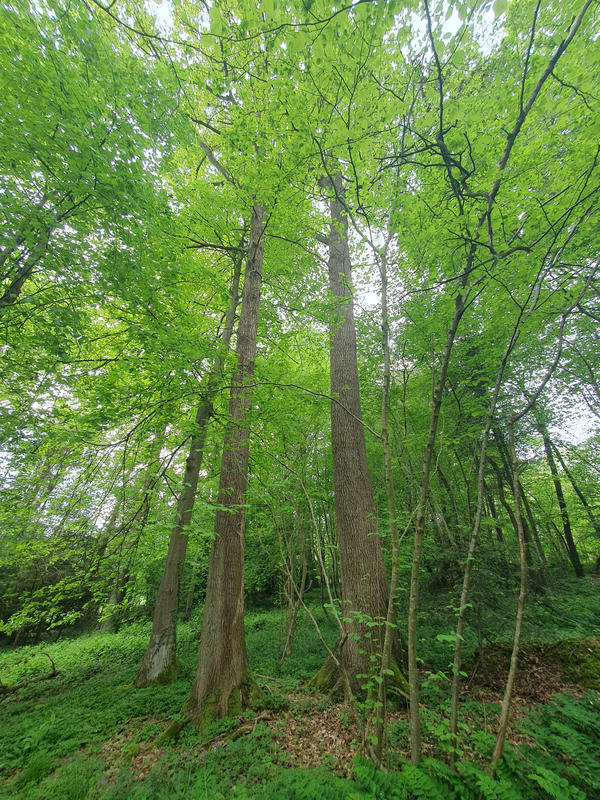 Maison - 16 m² - 4 pièces