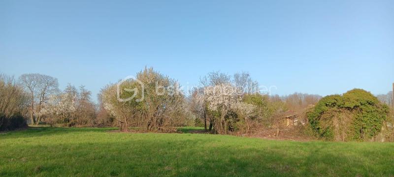 Terrain - 2 488 m²