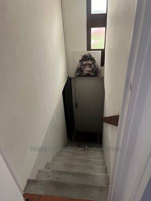 Maison - 155 m² - 4 pièces