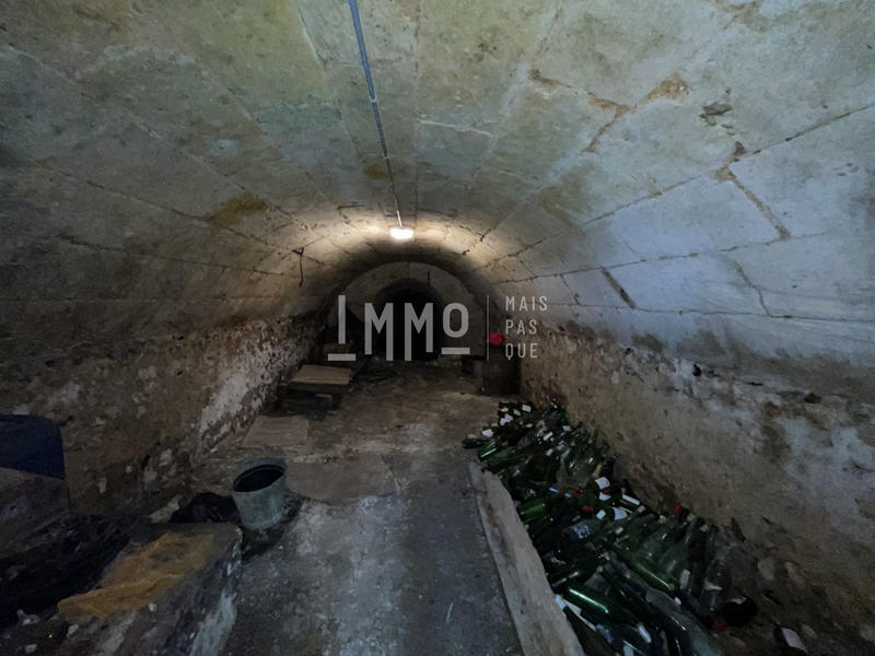 Maison ancienne - 60 m² - 1 pièce