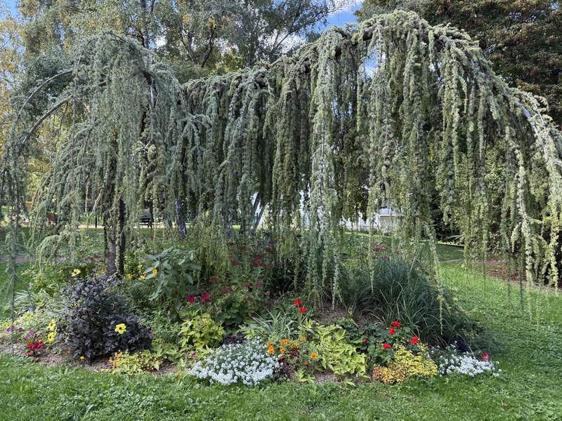 Appartement - 52 m² - 3 pièces