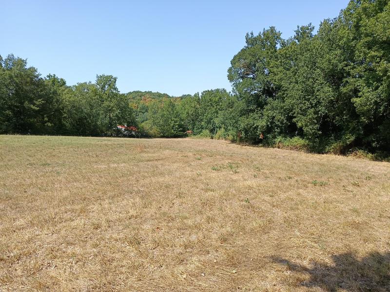 Terrain constructible - 1 268 m²