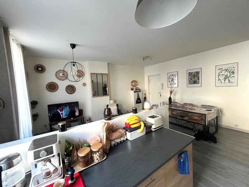 Appartement - 55 m² - 2 pièces