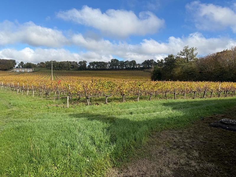 Maison de campagne - 485 m² - 12 pièces