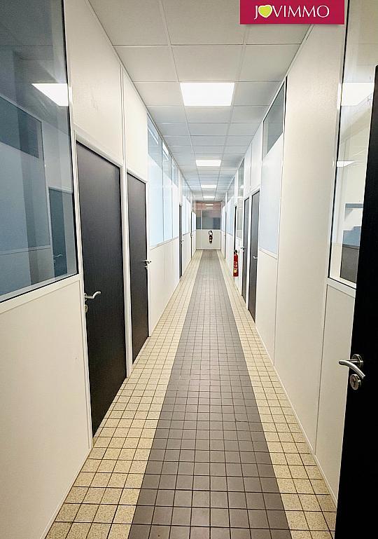 Bureau - 315 m² - 13 pièces