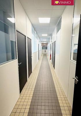 Bureau - 315 m² - 13 pièces