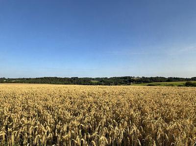Corps de ferme - 1 600 m² - 1 pièce