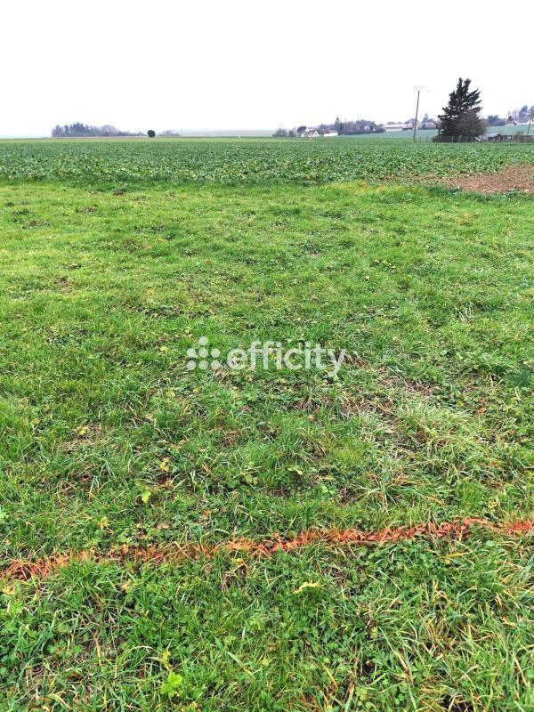 Bureau - 100 m² - 2 pièces