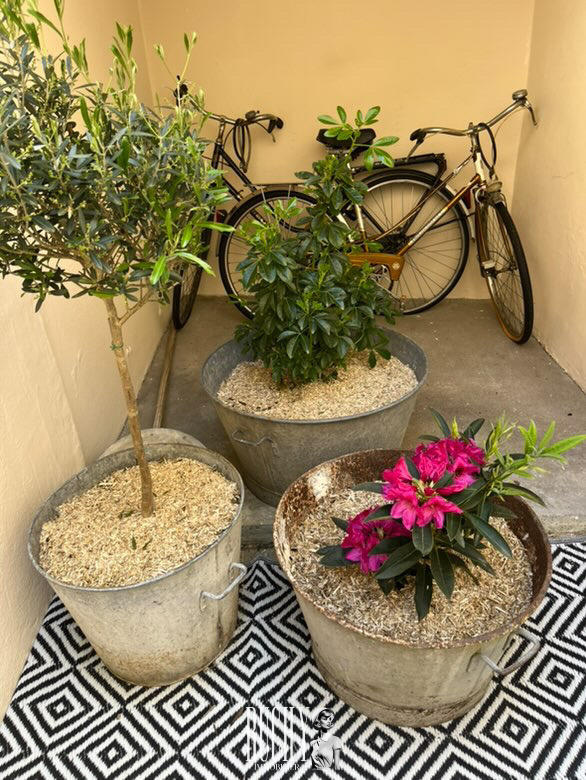 Appartement - 2 pièces