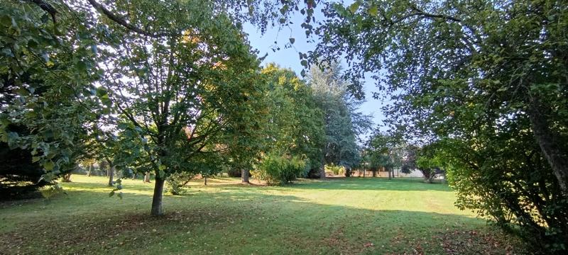 Maison de campagne - 128 m² - 9 pièces