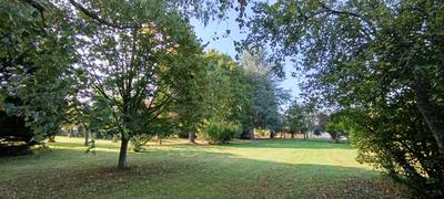 Maison de campagne - 128 m² - 9 pièces